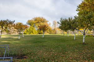 View of community featuring a yard