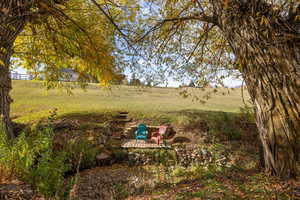 View of yard featuring a patio area