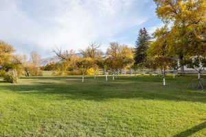 Surrounding community featuring a rural view, a yard, and a mountain view