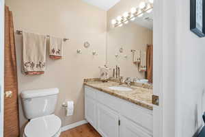 Full bath with vanity, light wood-style floors, and a shower with curtain