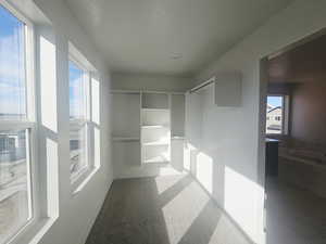 Walk in closet featuring carpet