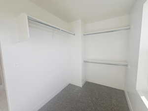 Spacious closet featuring dark carpet