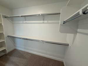 Primary Bedroom Closet