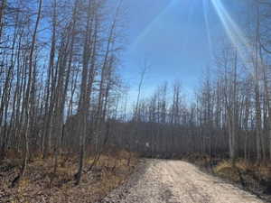 View of dirt / gravel road