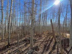 View of undeveloped land