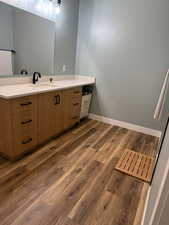 Bathroom featuring vanity and dark wood-style flooring