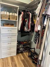 Spacious closet featuring light wood finished floors