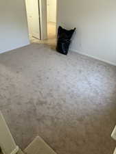 Detailed view of carpet and baseboards