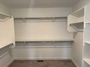 Primary Bedroom- Walk in Closet