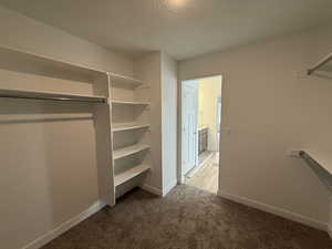 Primary Bedroom- Walk in Closet