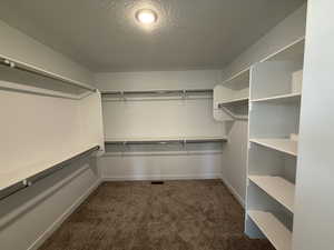 Primary Bedroom- Walk in Closet