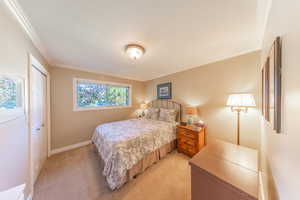 Bedroom with crown molding, light carpet, and a closet
