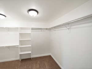 Spacious closet with dark colored carpet