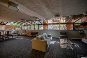 Sunroom with carpet flooring, healthy amount of natural light, and a textured ceiling
