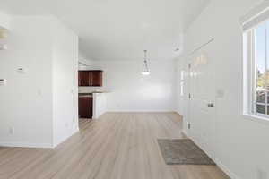 Entryway featuring light wood-type flooring and plenty of natural light