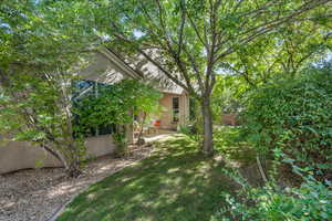 View of grassy yard with a patio area
