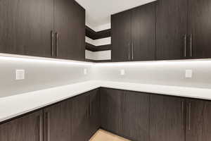 Butler pantry with additional counter and cabinet space