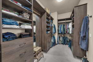 Spacious closet featuring light colored carpet