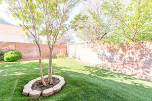 View of fenced backyard