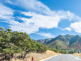 View of mountain background