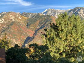 View of mountain background