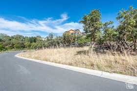 View of asphalt road with curbs