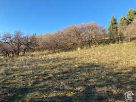 View of nature featuring rural landscape