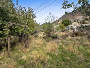View of yard with a mountain view