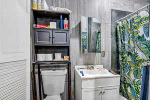 Full bathroom featuring vanity and a shower with shower curtain