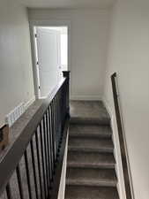 Stairway featuring carpet floors