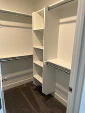 Walk in closet with dark colored carpet