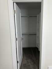 Spacious closet featuring dark carpet