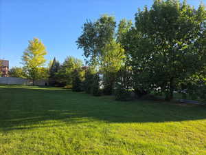 View of grassy yard