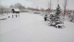 Yard covered in snow with an outdoor structure