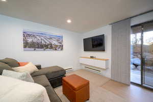 Basement living room