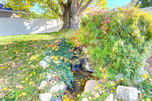 View of yard with a small pond