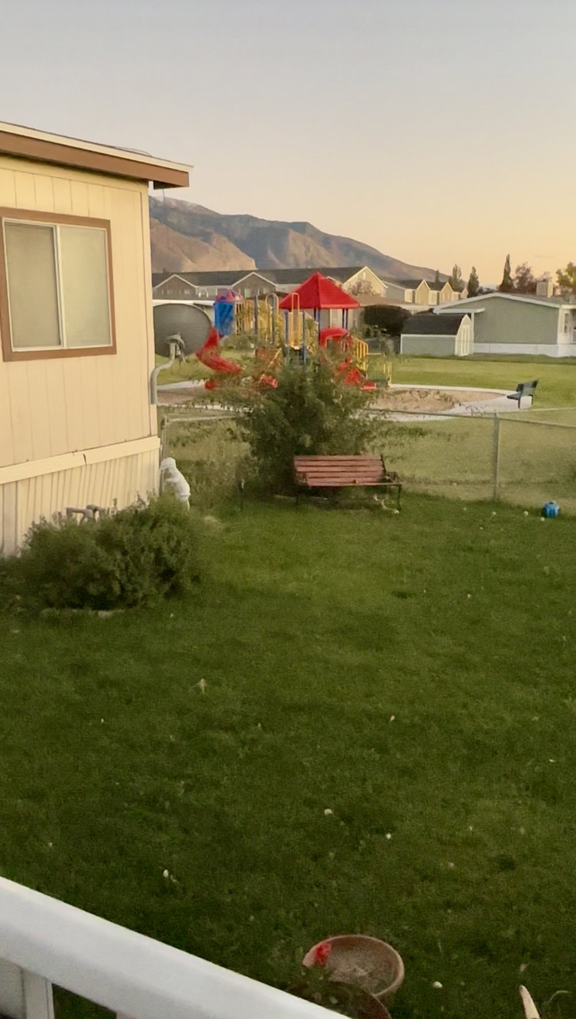 Back yard