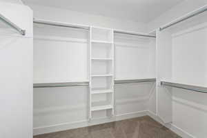 Spacious closet with light carpet