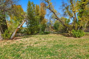 View of green lawn featuring view of scattered trees