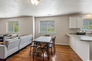 Dining room featuring dark wood-style floors and a textured ceiling