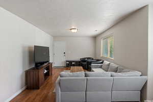 Living area with dark wood-type flooring and a textured ceiling