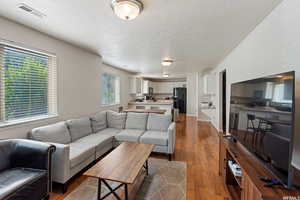 Living area with light wood finished floors, a textured ceiling, and plenty of natural light