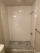 Renovated walk-in shower with tile