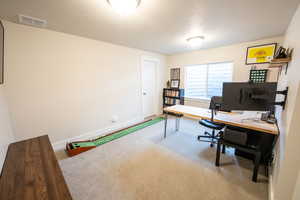 Carpeted office with a textured ceiling and baseboards