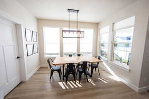 Dining space with light wood-type flooring and plenty of natural light