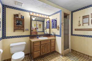 Walk-in shower in the basement