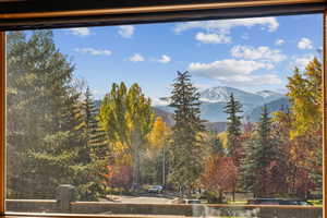 View of mountain background featuring a forest