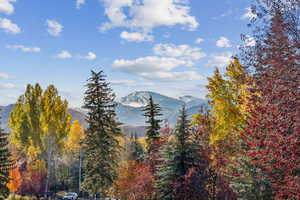 Mountain view featuring a forest