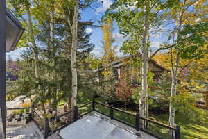 View of wooden balcony with a deck