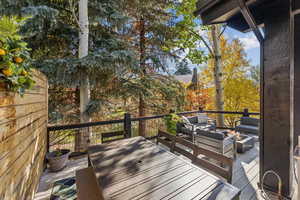 Wooden deck with outdoor dining area and outdoor lounge area